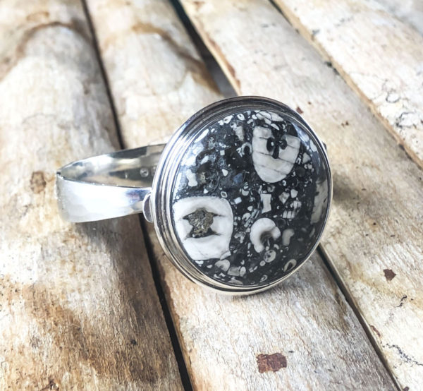 Crinoid Fossil Bracelet Top