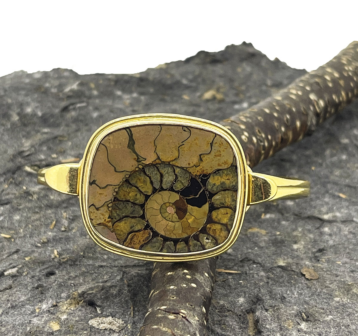 Ammonite Bracelet Top gold Becky Thatcher Designs