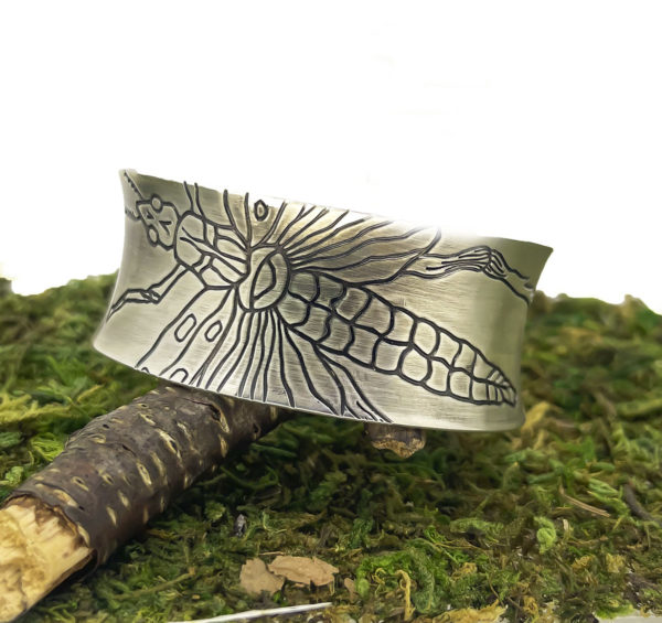 Endangered Insect Cuff-Secretive Locust - Image 3