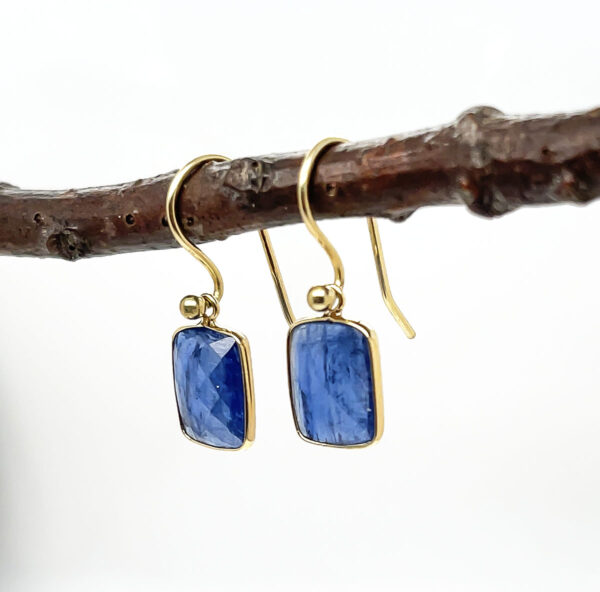 Kyanite Earrings - Image 2