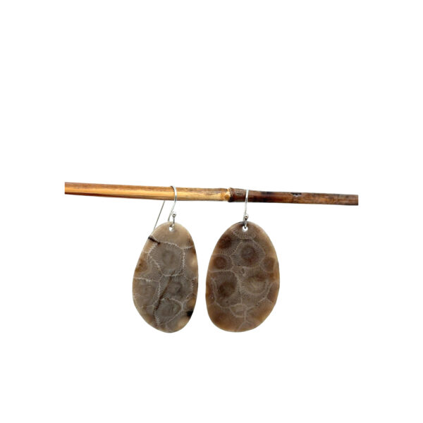 PETOSKEY EARRINGS - Image 2